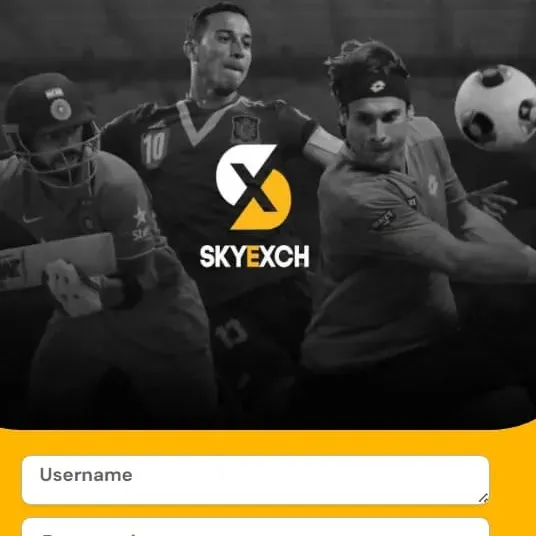 Sky Exchangee
